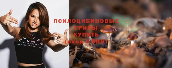 синтетический гашиш Алексин
